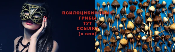 соль курить ск Горнозаводск