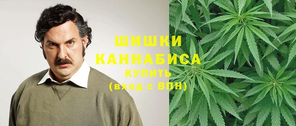 соль курить ск Горнозаводск