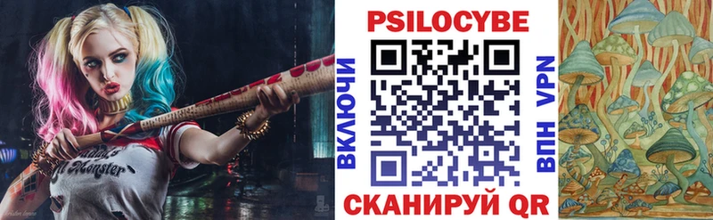 Псилоцибиновые грибы Psilocybine cubensis  Купить где  Данилов 